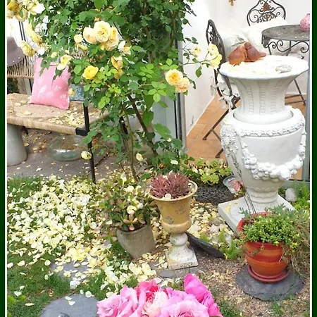 Marie La Fee Endormie, 'breizh Brunch' & Balneo *